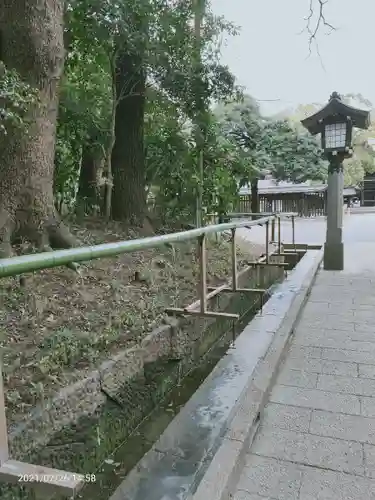 明治神宮の手水舎