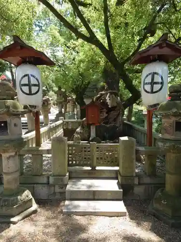 住吉大社(大阪府)