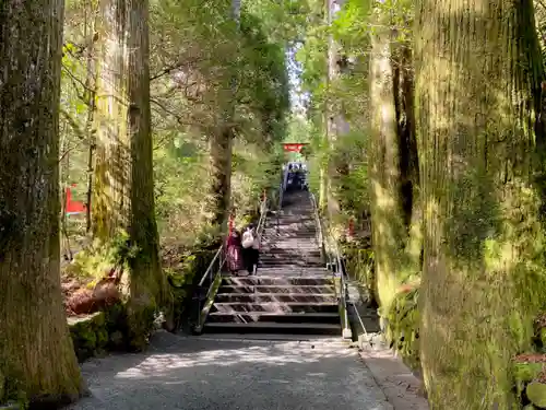 箱根神社のその他建物