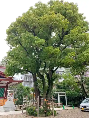 蒲田八幡神社の自然