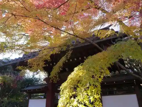 本土寺の景色