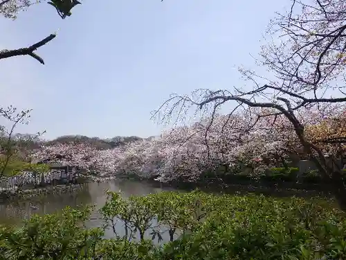 鶴岡八幡宮の庭園