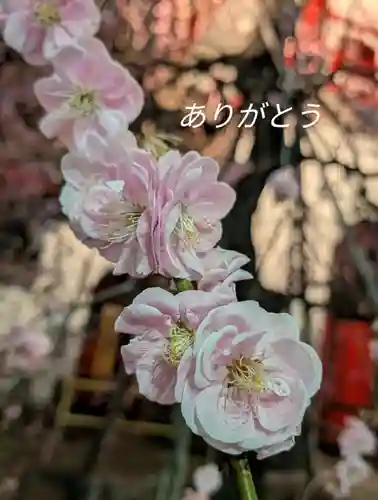 成願寺(東京都)