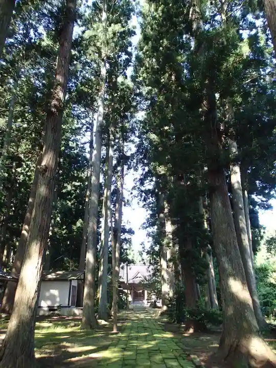 遠賀神社の自然