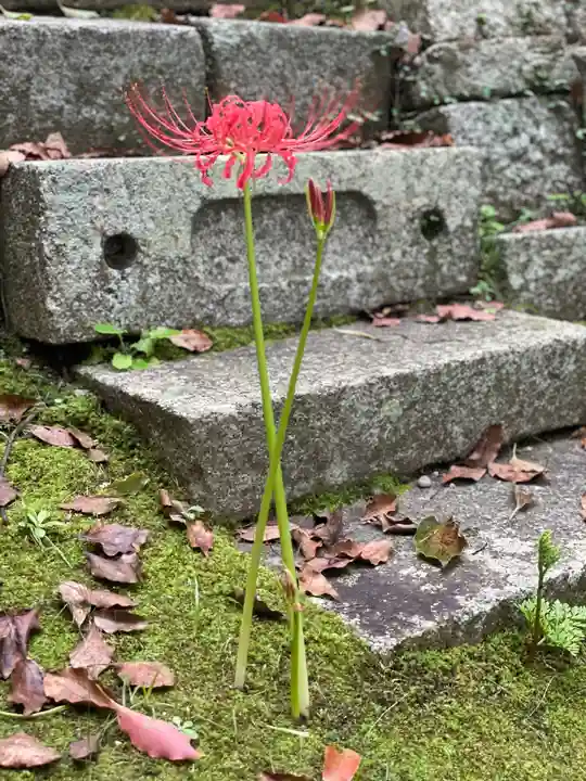伊勢の国 四天王寺の自然