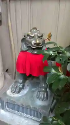 錦天満宮の狛犬