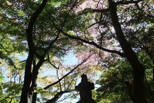 功山寺(山口県)