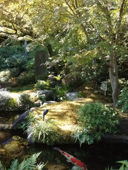 長谷寺(神奈川県)