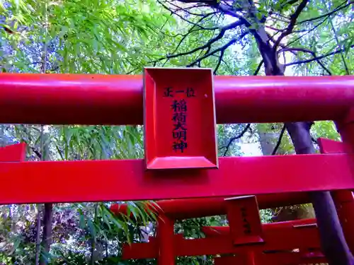 白笹稲荷神社の鳥居