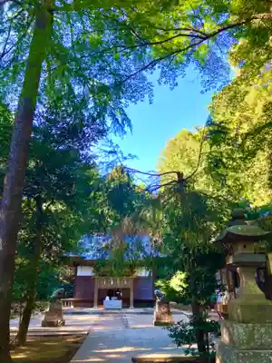蛟蝄神社奥の宮(茨城県)