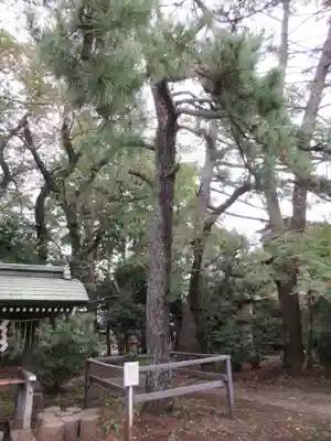 観音寺（世田谷山観音寺）のその他建物