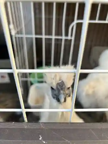 榮久山大法寺(東京都)