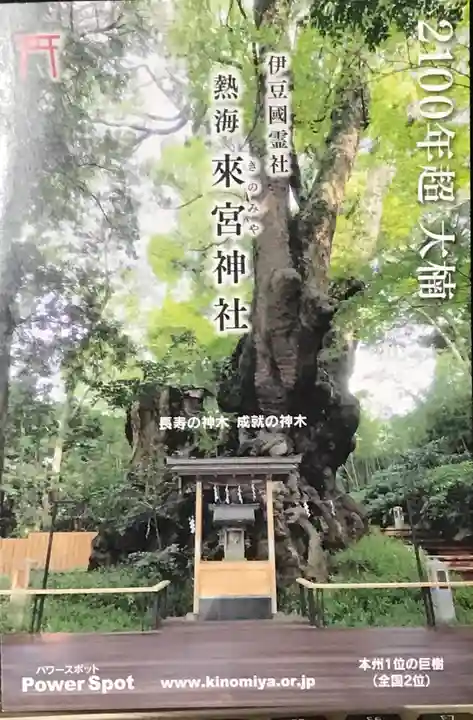 來宮神社の自然