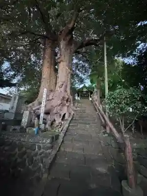 愛宕神社の{uncategorized: "未分類", other: "その他", undefined: "問題あり", building: "その他建物", grave: "お墓", sacred_gate: "鳥居", guardian: "狛犬", statue: "像", buddha: "仏像", history: "歴史", nature: "自然", garden: "庭園", animal: "動物", pagoda: "塔", temizu: "手水舎", mountain_gate: "山門・神門", sanctuary: "本殿・本堂", subordinate: "末社・摂社", art: "芸術", scenery: "景色", jizo: "地蔵", ema: "絵馬", goshuin: "御朱印", omikuji: "おみくじ", items: "授与品その他", amulet: "お守り", goshuincho: "御朱印帳", eats: "食事", festival: "お祭り", votive_dance: "神楽", shichigosan: "七五三参", wedding: "結婚式", experience: "体験その他", initially: "初詣", around: "周辺", anti_infection: "感染症対策"}