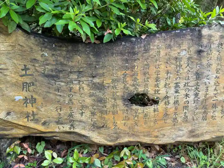 土肥神社の{uncategorized: "未分類", other: "その他", undefined: "問題あり", building: "その他建物", grave: "お墓", sacred_gate: "鳥居", guardian: "狛犬", statue: "像", buddha: "仏像", history: "歴史", nature: "自然", garden: "庭園", animal: "動物", pagoda: "塔", temizu: "手水舎", mountain_gate: "山門・神門", sanctuary: "本殿・本堂", subordinate: "末社・摂社", art: "芸術", scenery: "景色", jizo: "地蔵", ema: "絵馬", goshuin: "御朱印", omikuji: "おみくじ", items: "授与品その他", amulet: "お守り", goshuincho: "御朱印帳", eats: "食事", festival: "お祭り", votive_dance: "神楽", shichigosan: "七五三参", wedding: "結婚式", experience: "体験その他", initially: "初詣", around: "周辺", anti_infection: "感染症対策"}