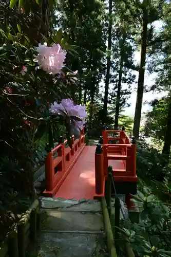 岡寺（龍蓋寺）(奈良県)