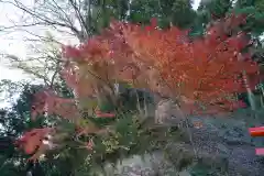 温泉神社〜いわき湯本温泉〜の景色