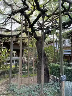 玉蔵院(埼玉県)