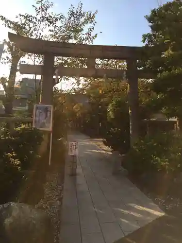 鳩森八幡神社の鳥居