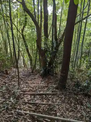 御嶽神社の自然