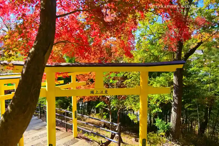 足利織姫神社(栃木県)