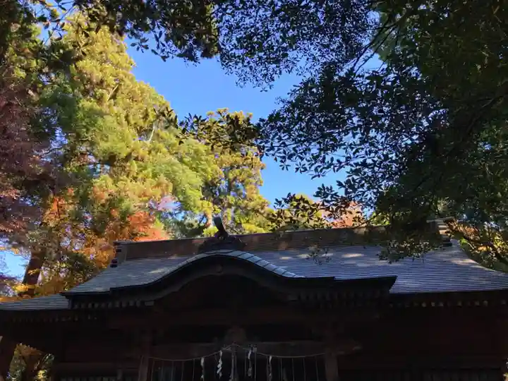 楯縫神社(茨城県)