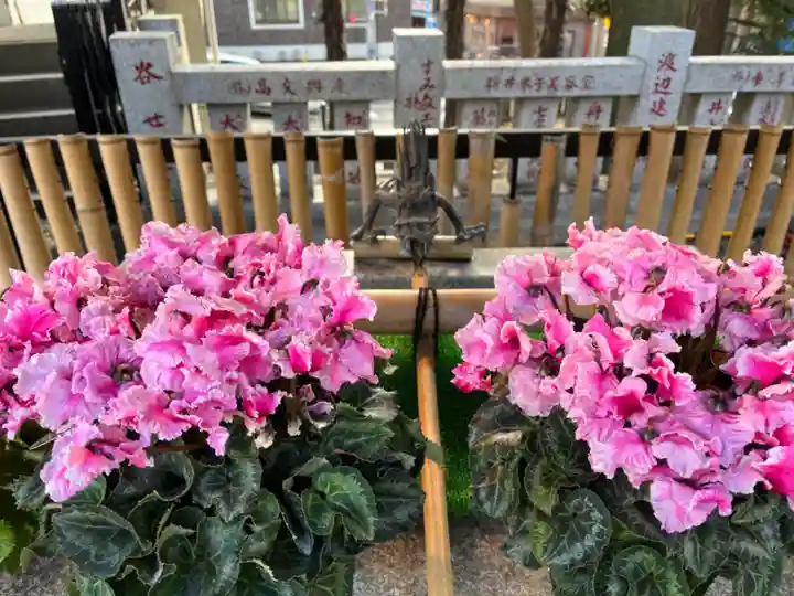 高円寺氷川神社の手水舎