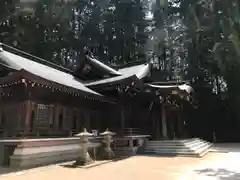 櫻山八幡宮の本殿