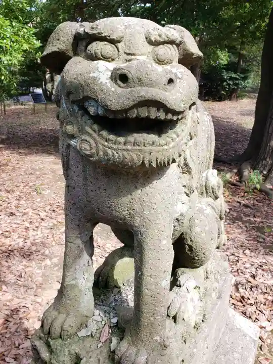 諏訪神社の狛犬