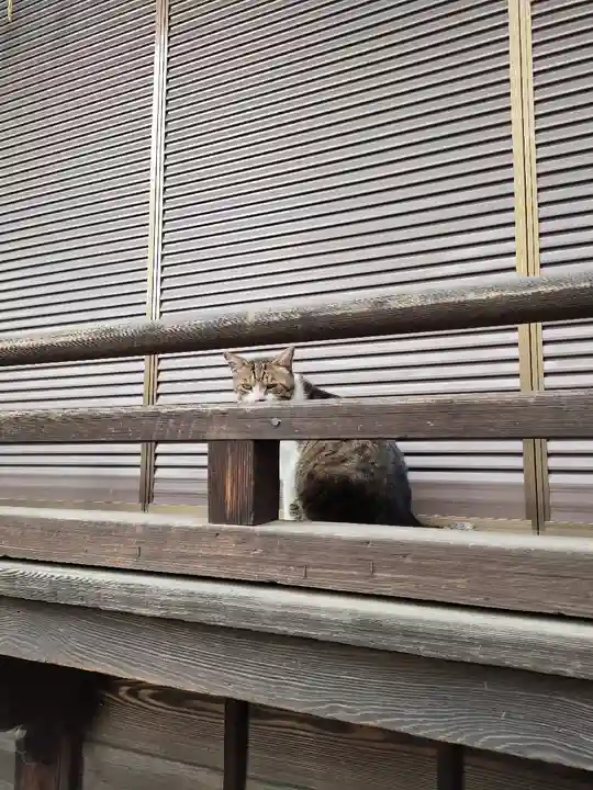 荻窪白山神社(東京都)