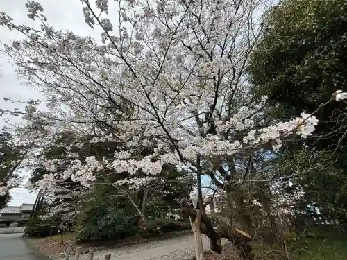 砥鹿神社（里宮）(愛知県)