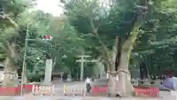 大國魂神社の周辺