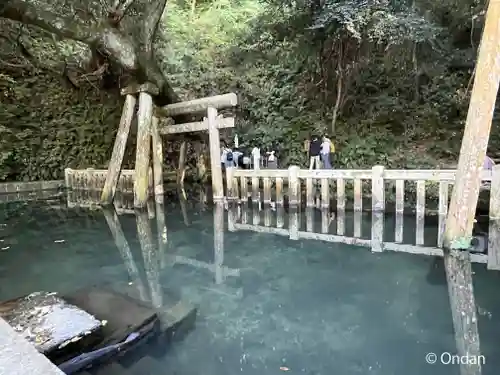 鹿島神宮(茨城県)