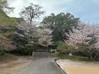 八坂神社(徳島県)