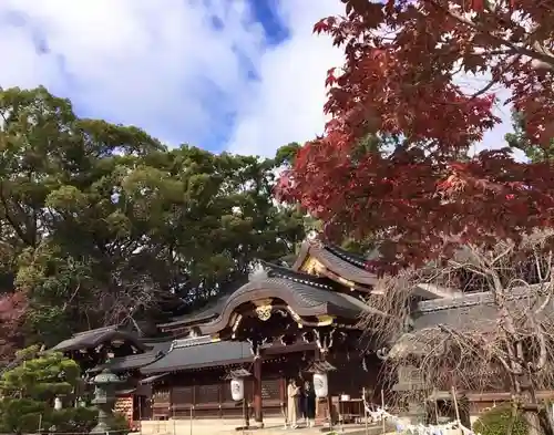 今宮神社の本殿・本堂