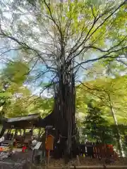 貴船神社(京都府)