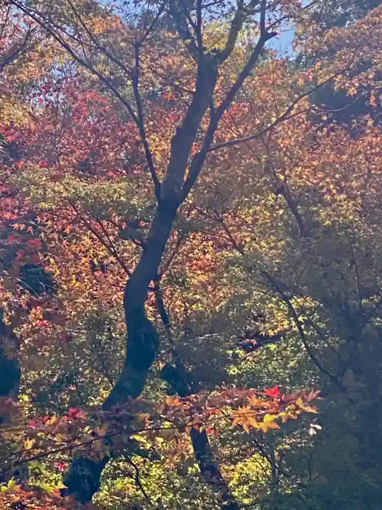 即宗院(京都府)