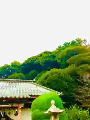 冨士浅間神社(茨城県)