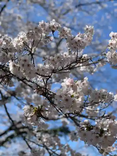 日龍峯寺(高澤観音)(美濃清水)の{uncategorized: "未分類", other: "その他", undefined: "問題あり", building: "その他建物", grave: "お墓", sacred_gate: "鳥居", guardian: "狛犬", statue: "像", buddha: "仏像", history: "歴史", nature: "自然", garden: "庭園", animal: "動物", pagoda: "塔", temizu: "手水舎", mountain_gate: "山門・神門", sanctuary: "本殿・本堂", subordinate: "末社・摂社", art: "芸術", scenery: "景色", jizo: "地蔵", ema: "絵馬", goshuin: "御朱印", omikuji: "おみくじ", items: "授与品その他", amulet: "お守り", goshuincho: "御朱印帳", eats: "食事", festival: "お祭り", votive_dance: "神楽", shichigosan: "七五三参", wedding: "結婚式", experience: "体験その他", initially: "初詣", around: "周辺", anti_infection: "感染症対策"}