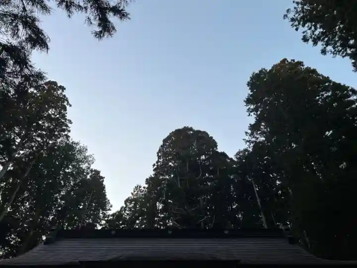 大宮温泉神社(栃木県)