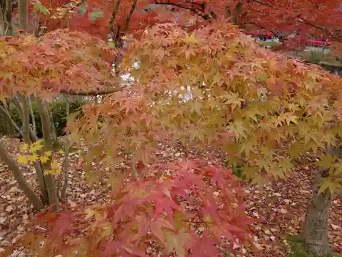 禅林寺（永観堂）(京都府)