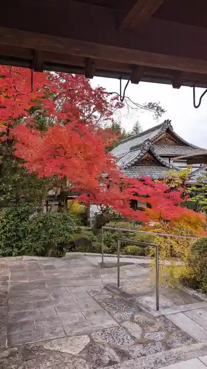 龍光院(京都府)