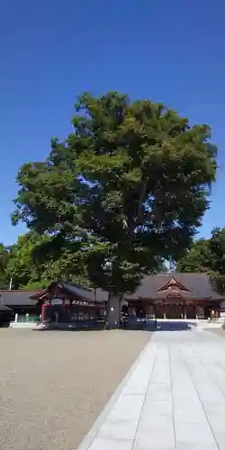 北海道護國神社のその他建物