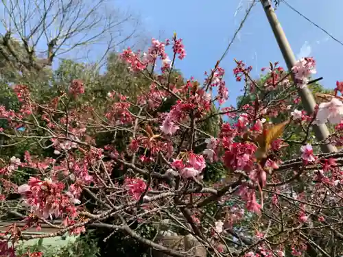 西山神社の自然