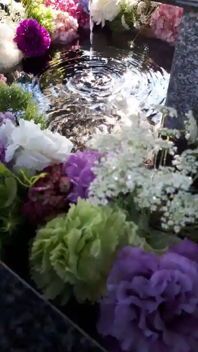 新琴似神社の手水舎