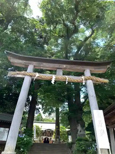 比々多神社の鳥居