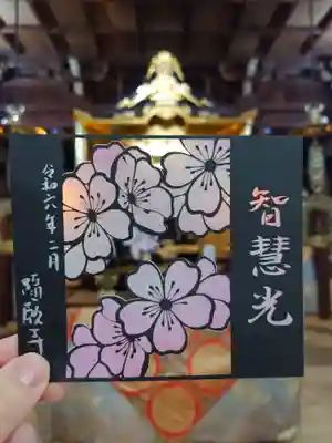 カラーバリエーション④