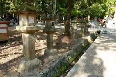 春日大社のその他建物