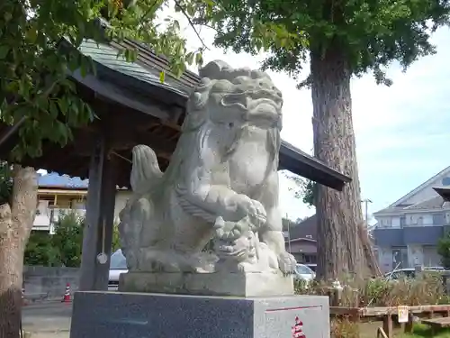 杉山社（上星川鎮守）の狛犬