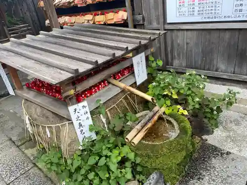 市比賣神社のその他建物